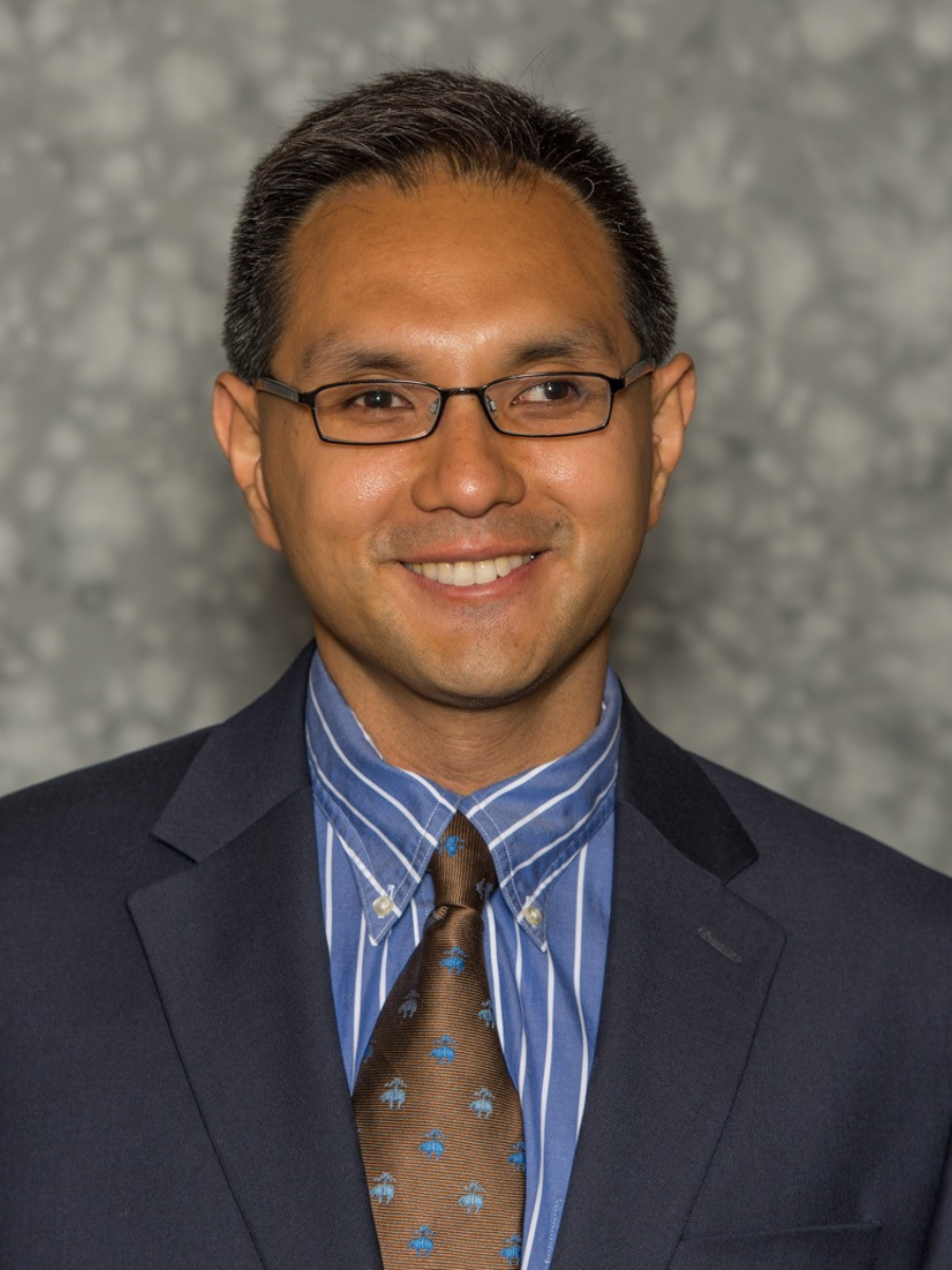 Prof. Dr. Peter De Costa